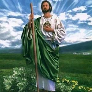 Meet your Posher, Violeta